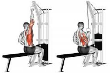Pull-down with one hand, back exercises gym